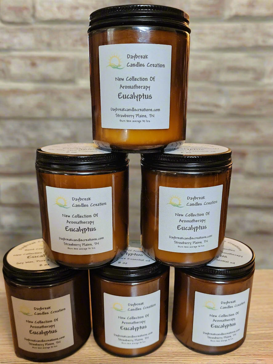 Aromatherapy Eucalyptus scented Candle-Handmade Soy Wax